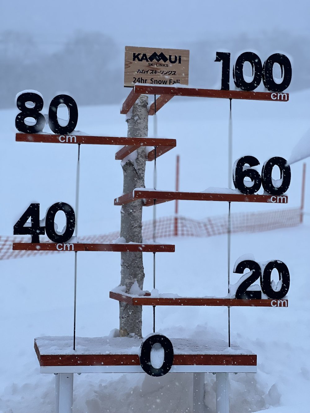 カムイスキーリンクスの24時間降雪量ボード